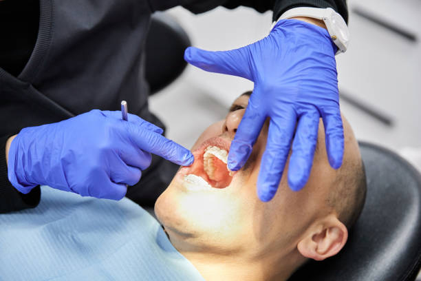 Best Broken or Chipped Tooth Repair in Walnutport, PA